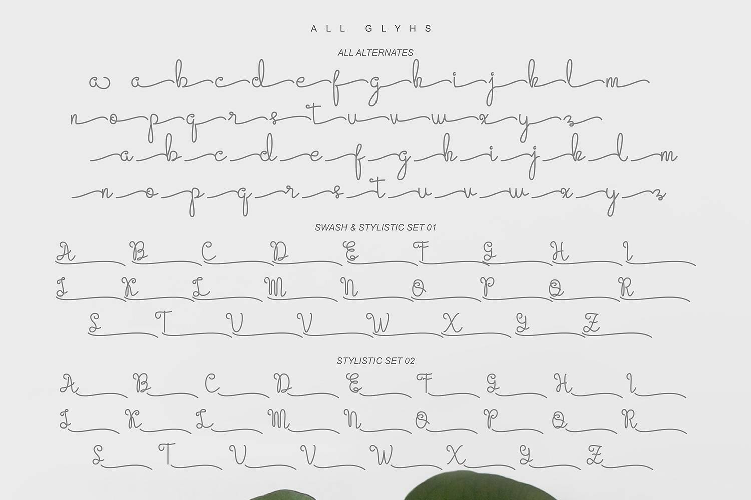 Evangetta Font sample
