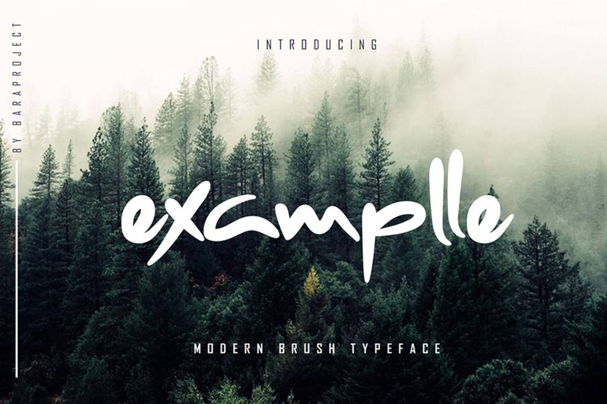 Examplle Font sample