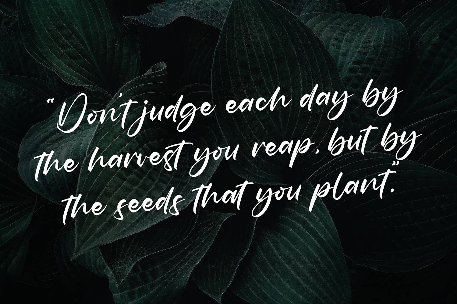 Falatisco Font sample