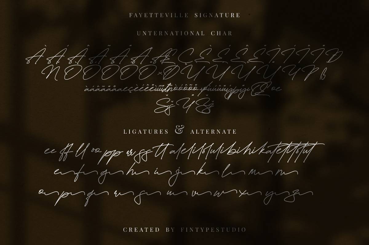 Fayetteville Signature Font sample