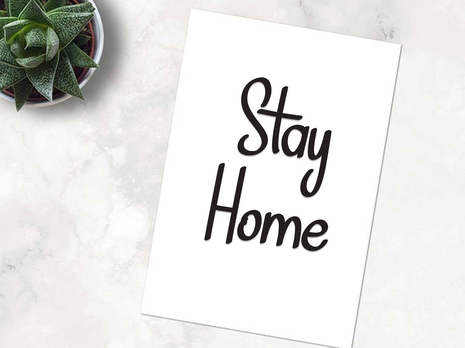 February Font sample