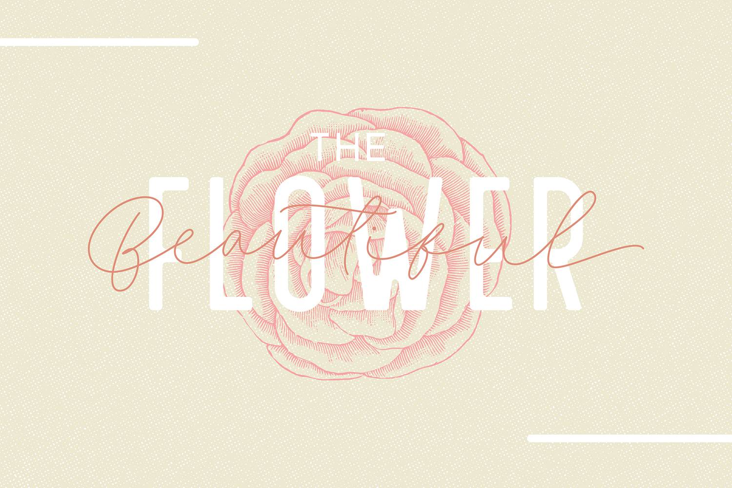 Filia Font sample
