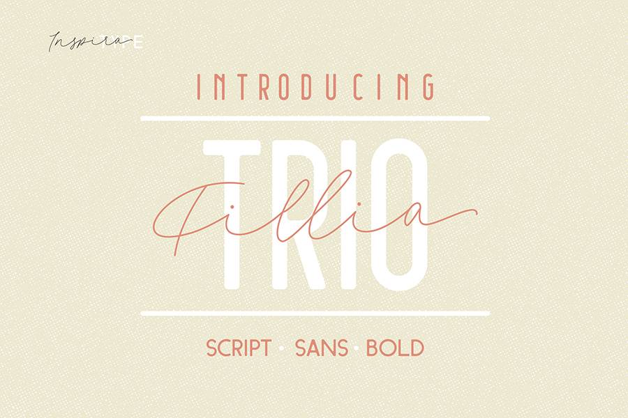 Fillia Script Font Demo sample