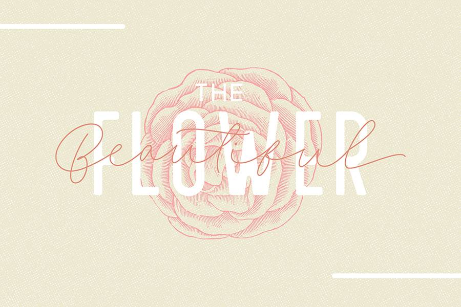 Fillia Script Font Demo sample