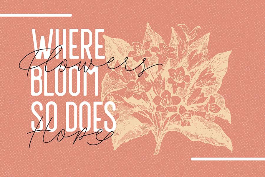 Fillia Script Font Demo sample