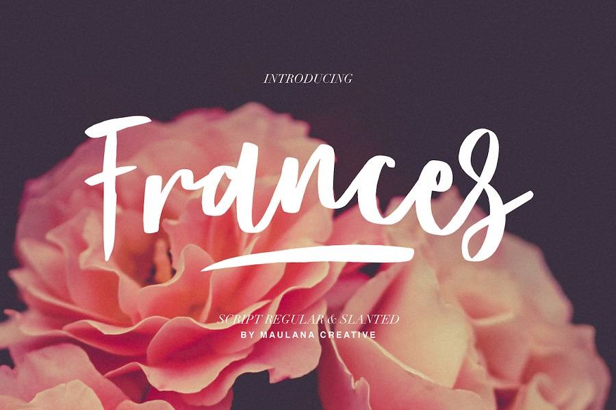 Frances Modern Script Font sample