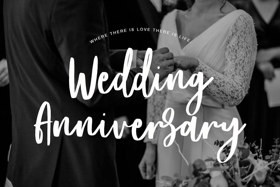 Frances Modern Script Font sample