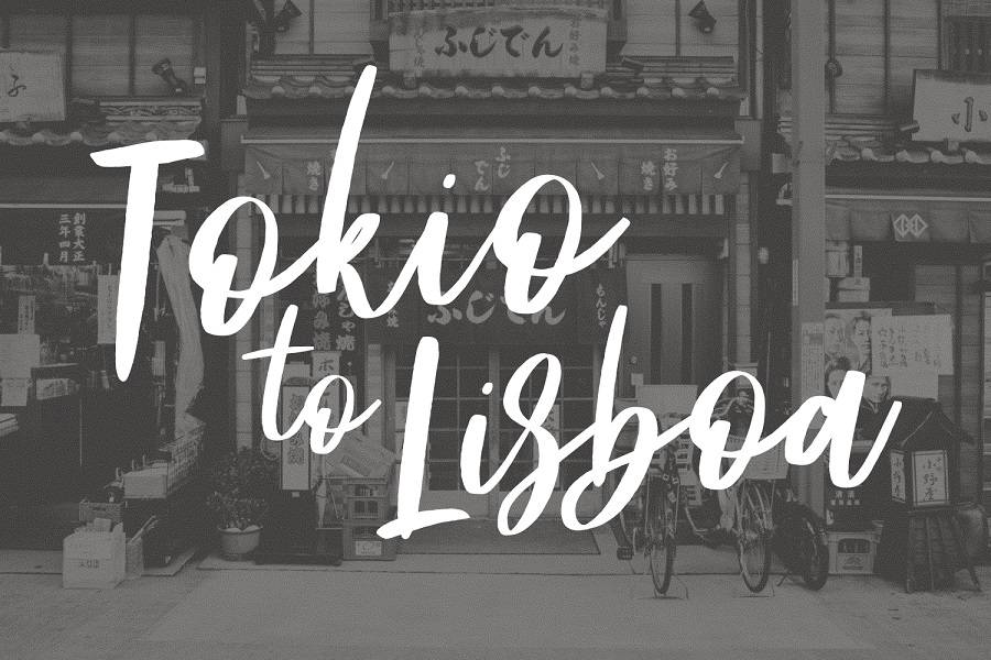 Frances Modern Script Font sample