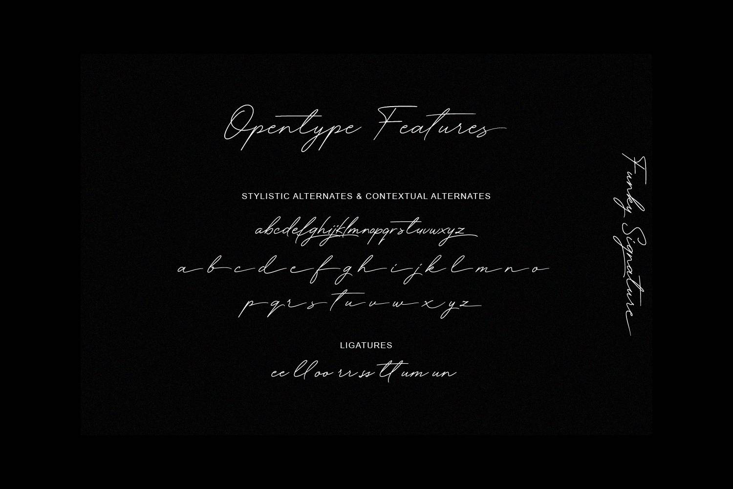 Funky Signature Font sample