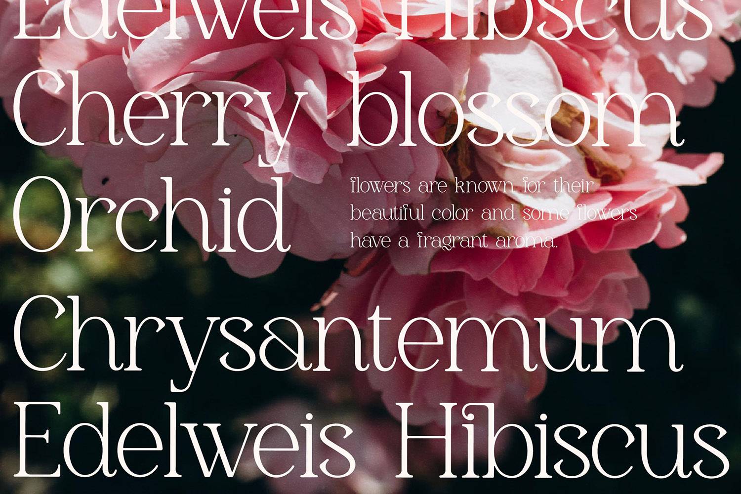 Gerlick Font sample