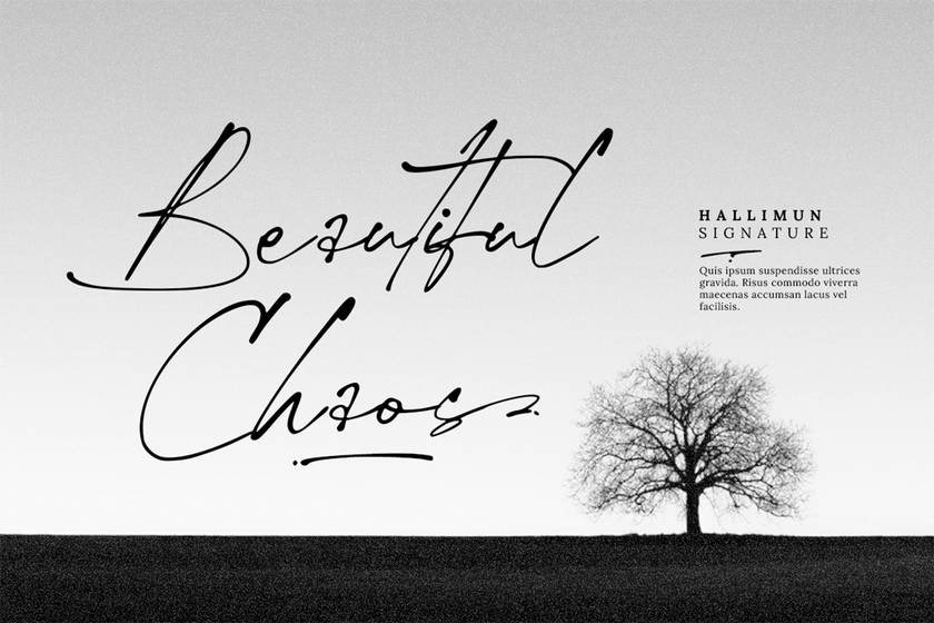 Hallimun Signature Font sample