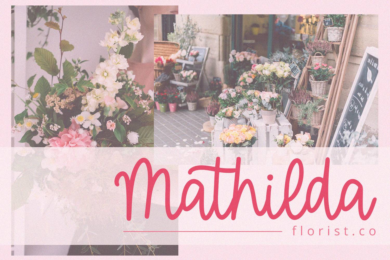 Halmera Font sample