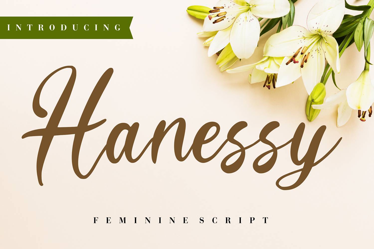 Hanessy Font sample
