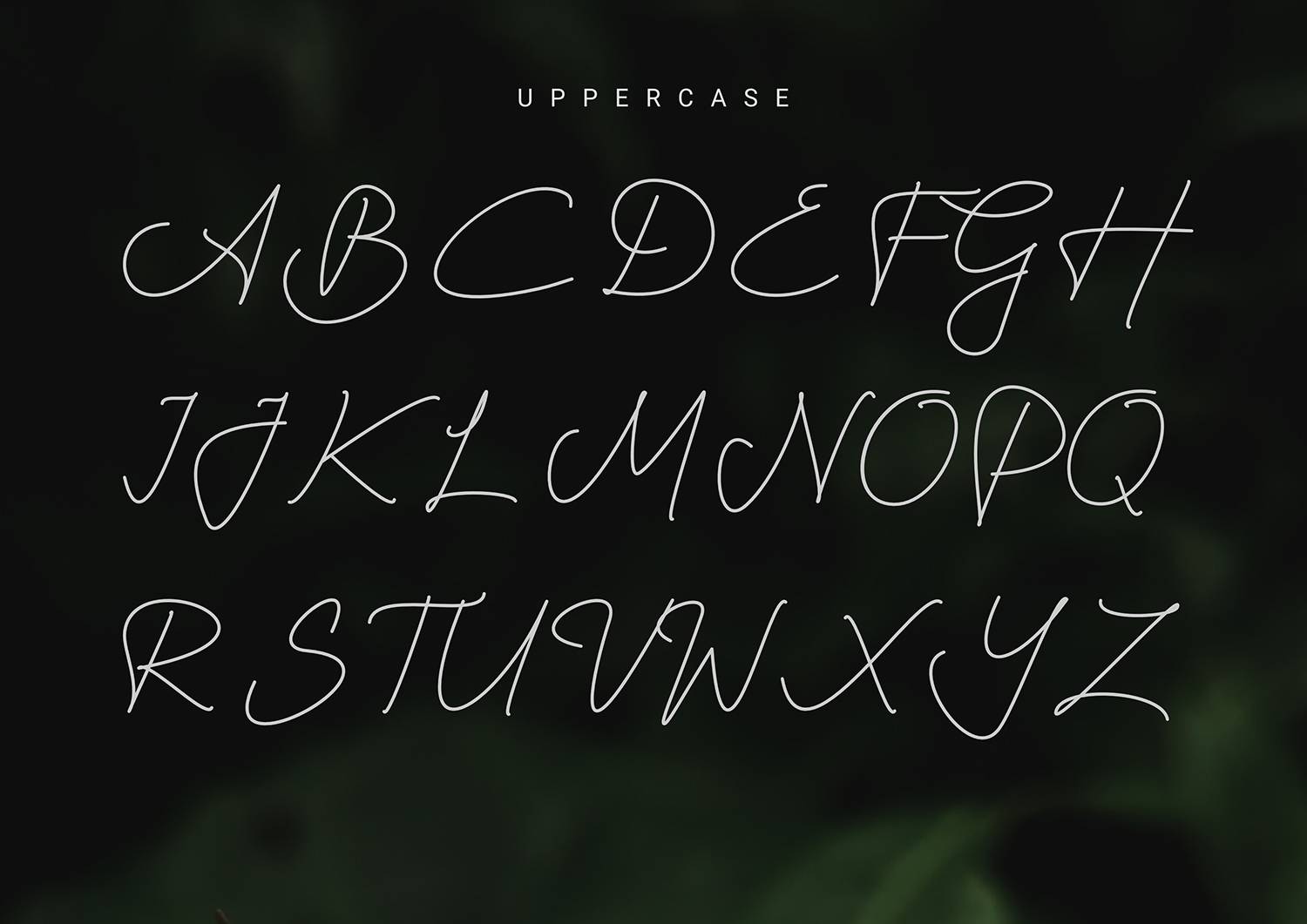 Harshita Font sample