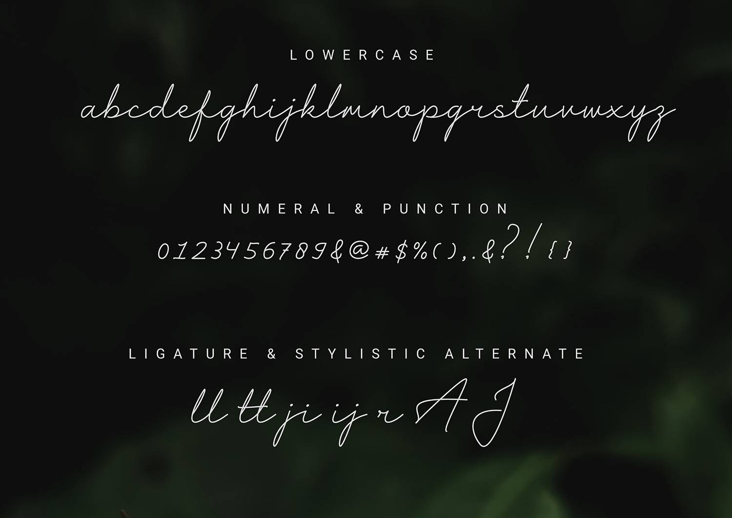 Harshita Font sample