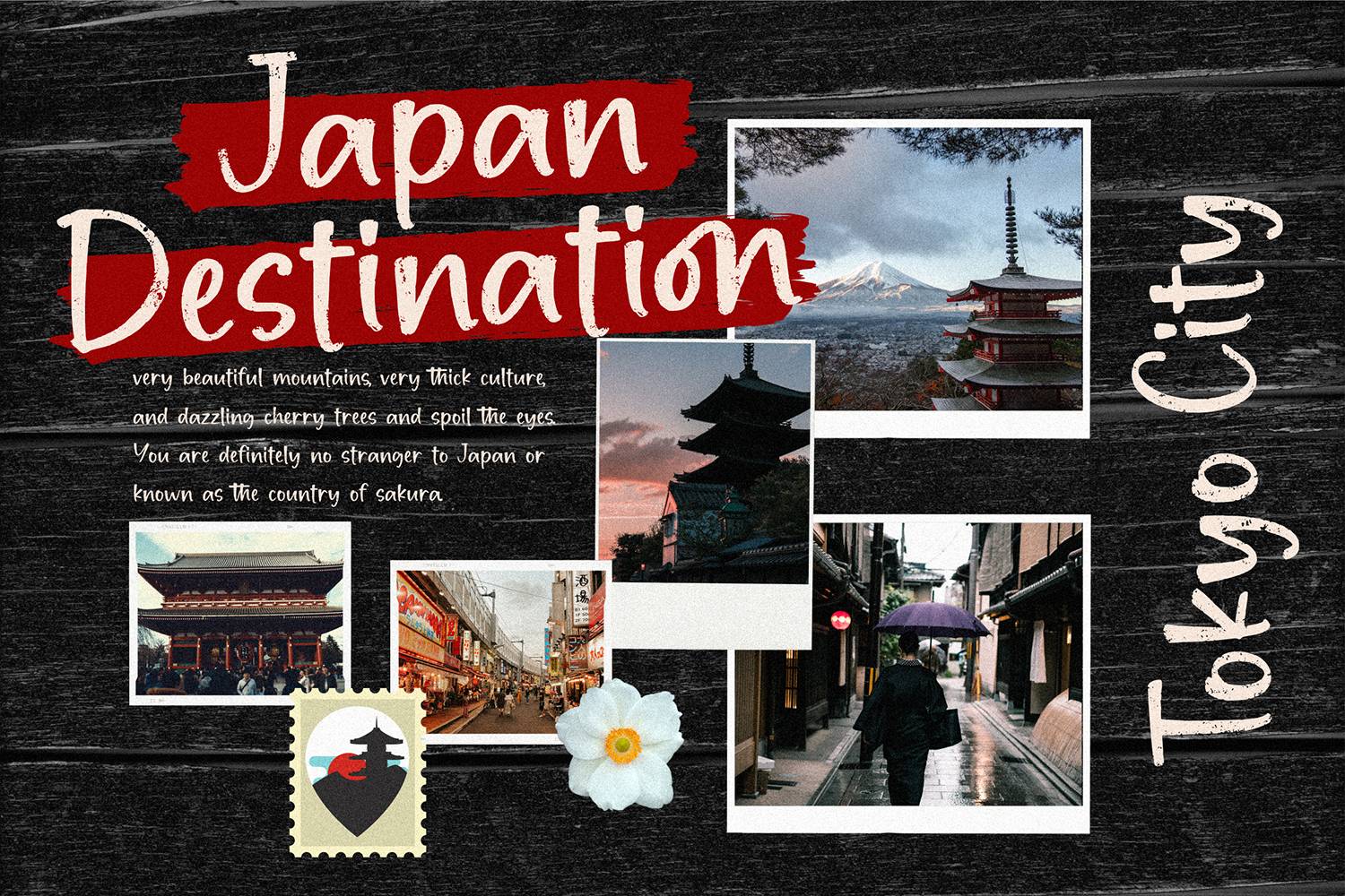 Hayamichi Font sample