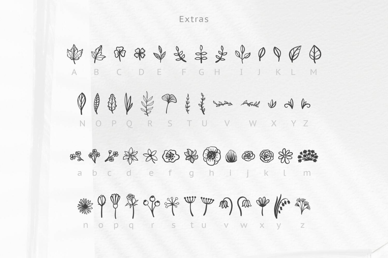 Herbarium sample