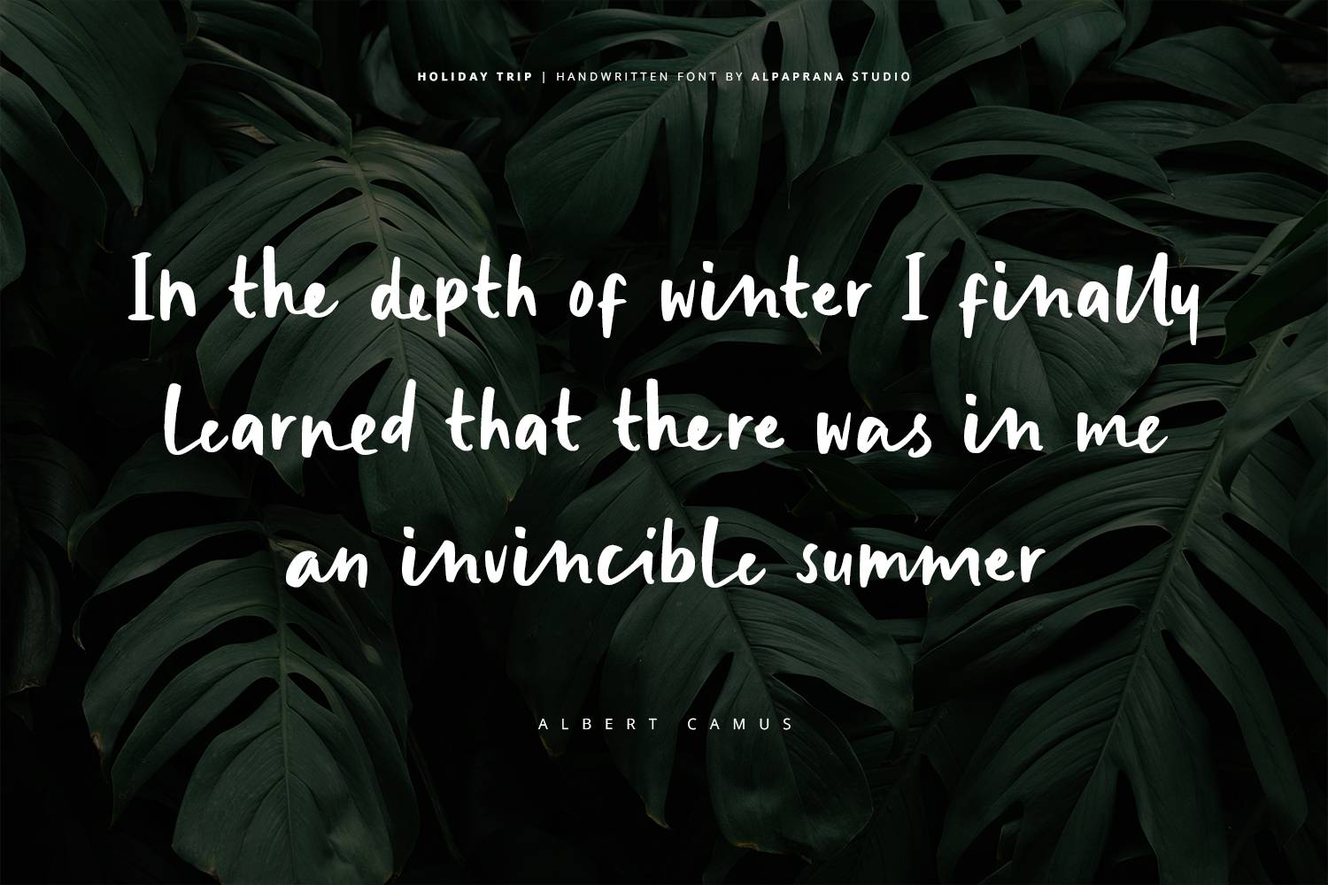 Holiday Trip Font sample