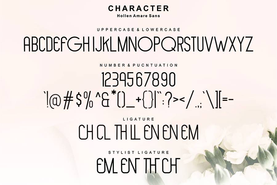 Hollen Amare Font Duo sample