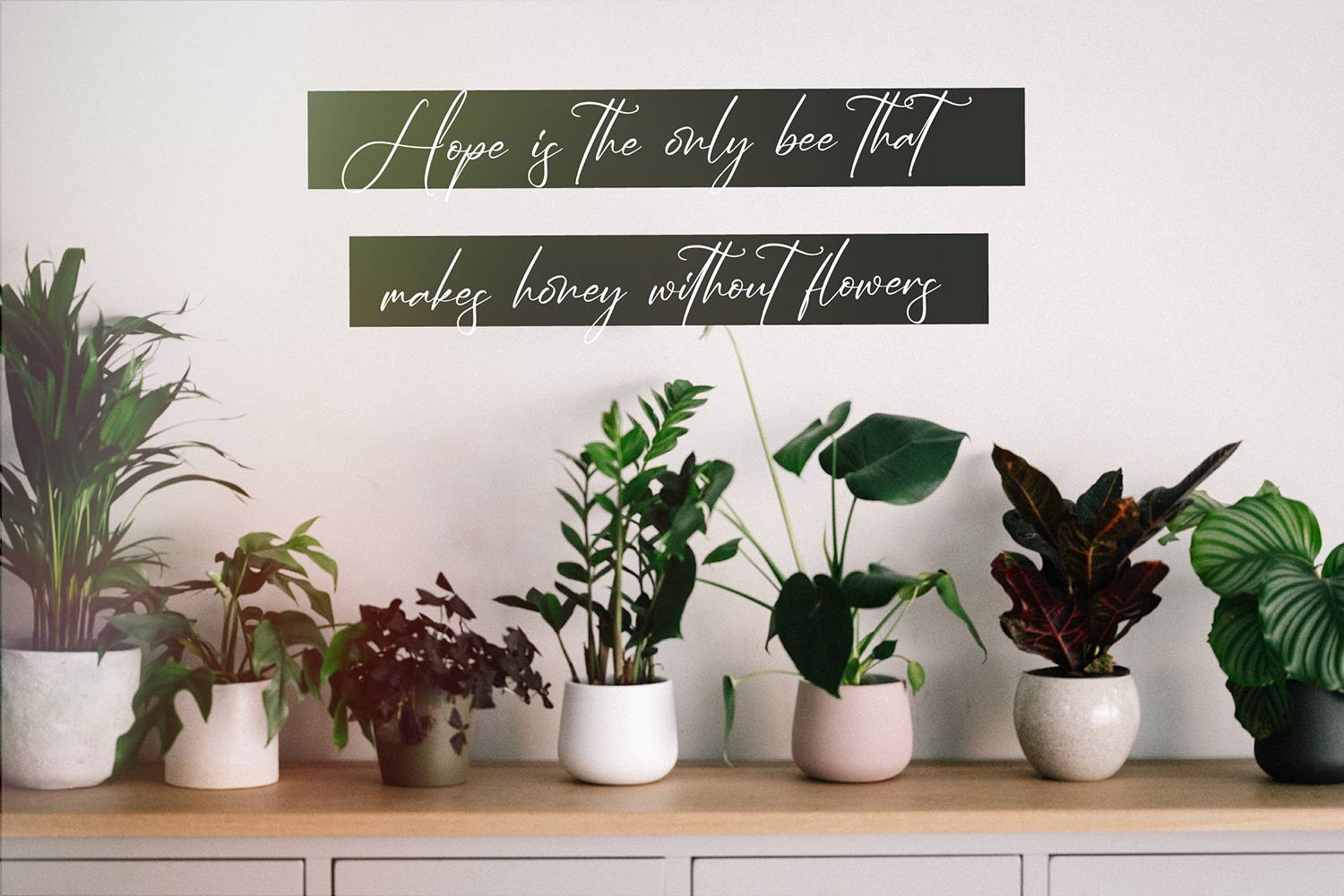 Jasmartha Rosebery Font sample