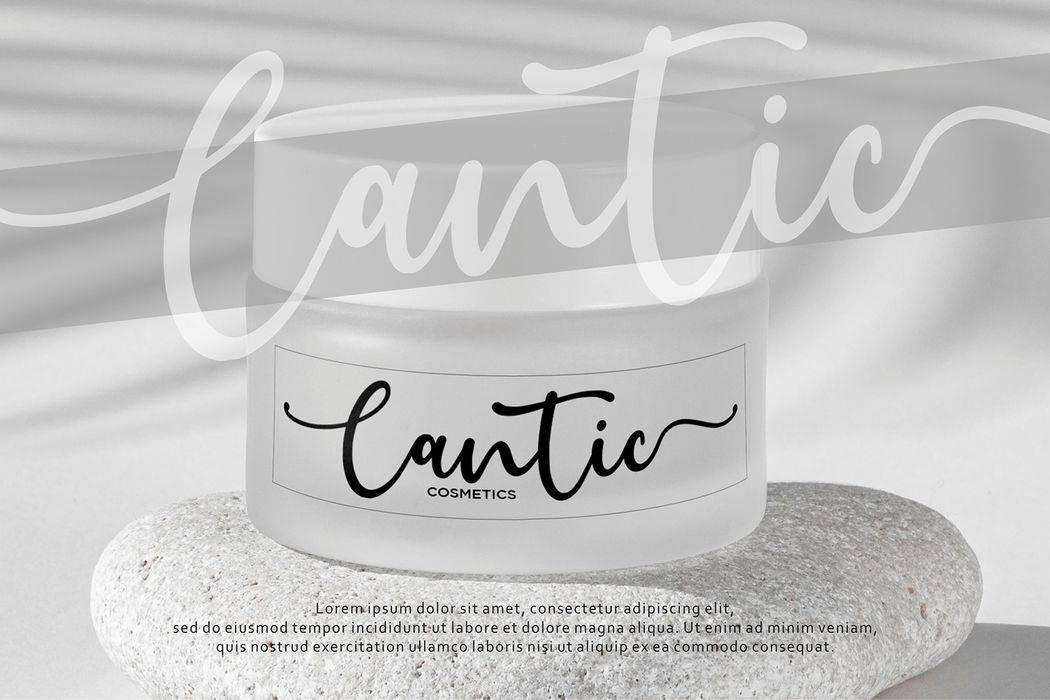 Jeannica Font sample