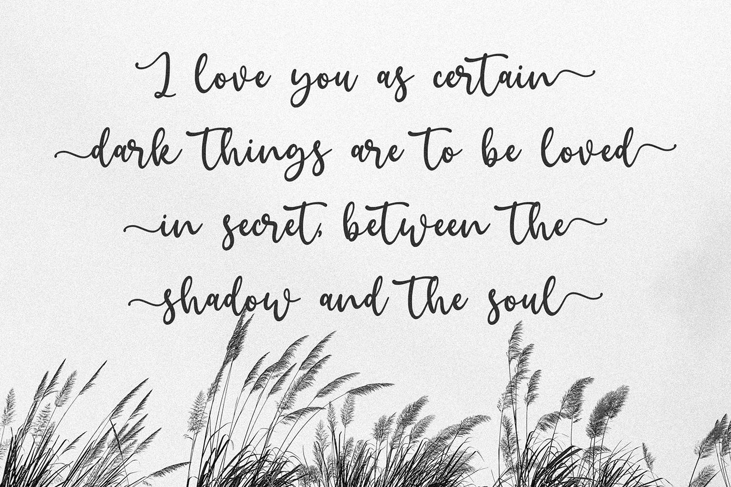 Jeannica Font sample