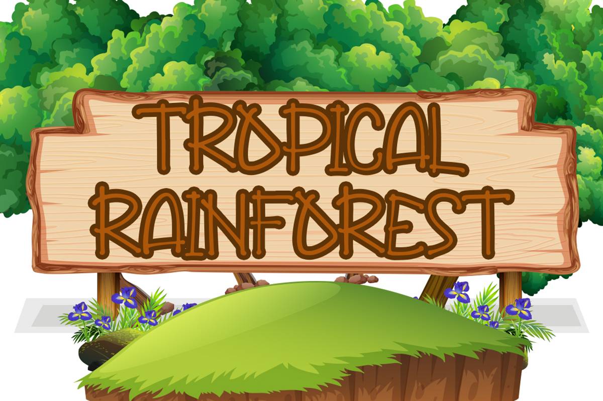 Jungle Bunch Font sample