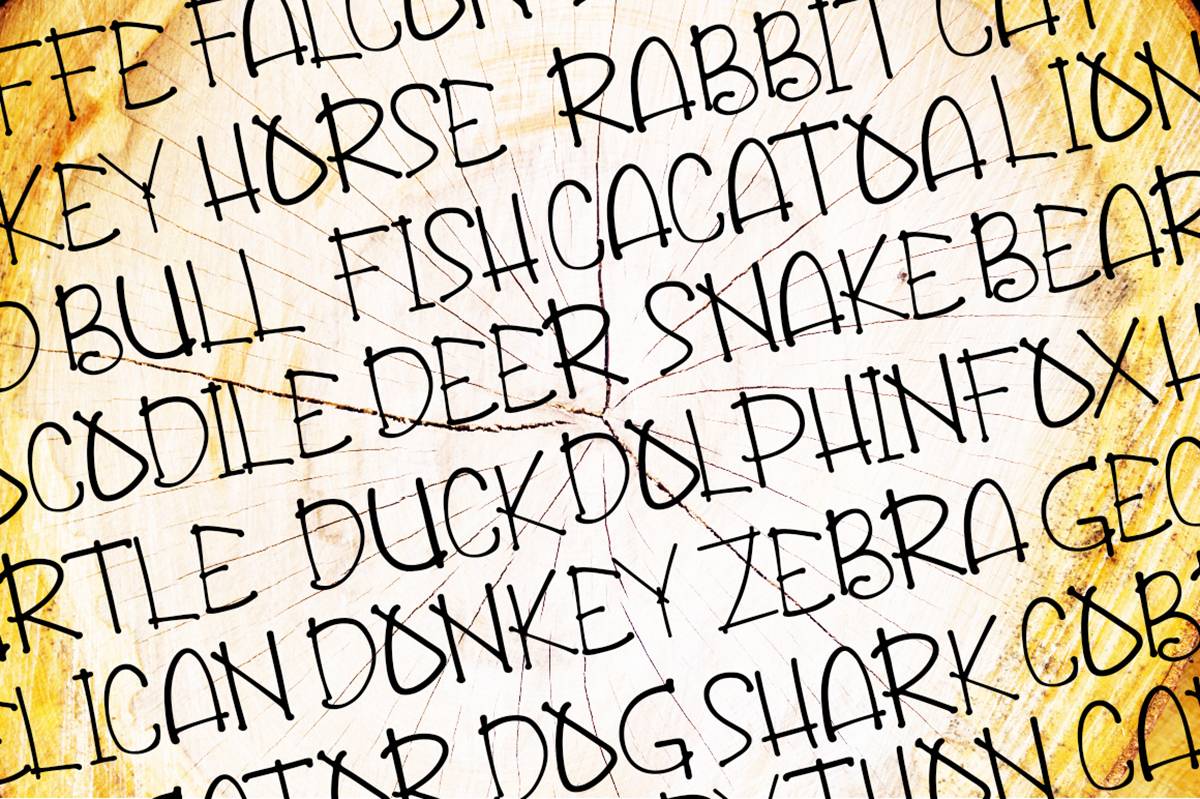 Jungle Bunch Font sample