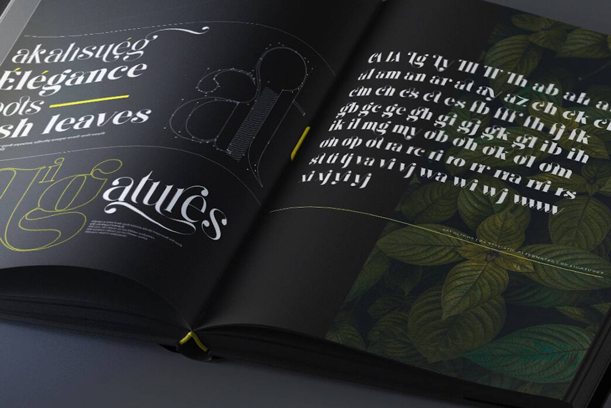 Kage Elegant Serif sample