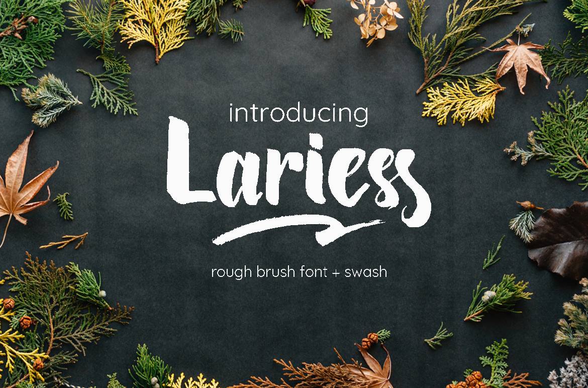 Lariess Font Font sample