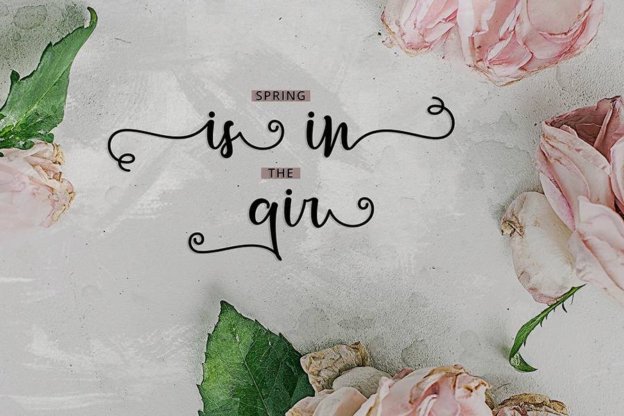 Letterbest Handlettering Script sample