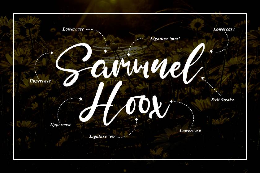 Lynette Font sample