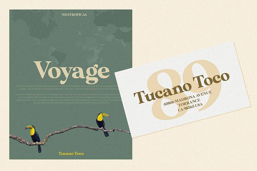MADE Sunflower Serif Font sample