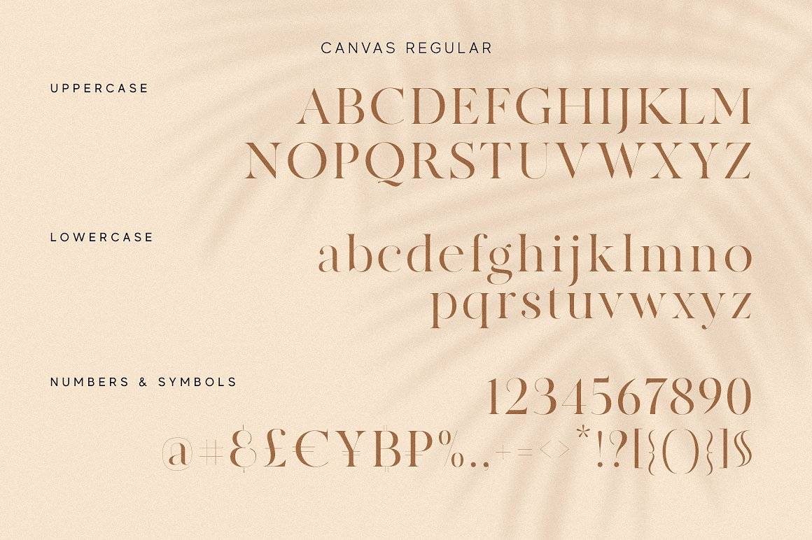 Made Canvas Font Family Demo sample