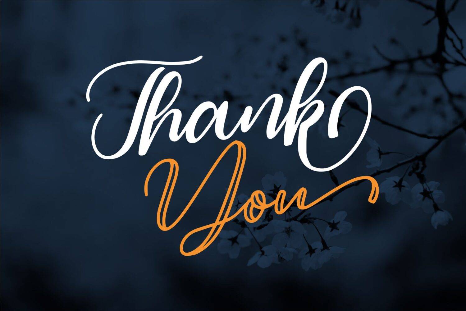 Magelove Handlettering Script sample