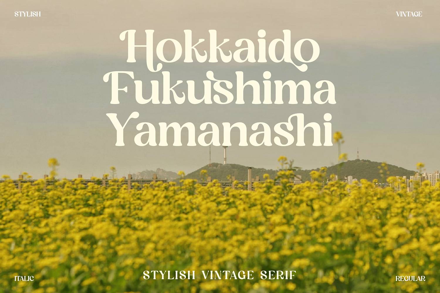 Magisho Font sample