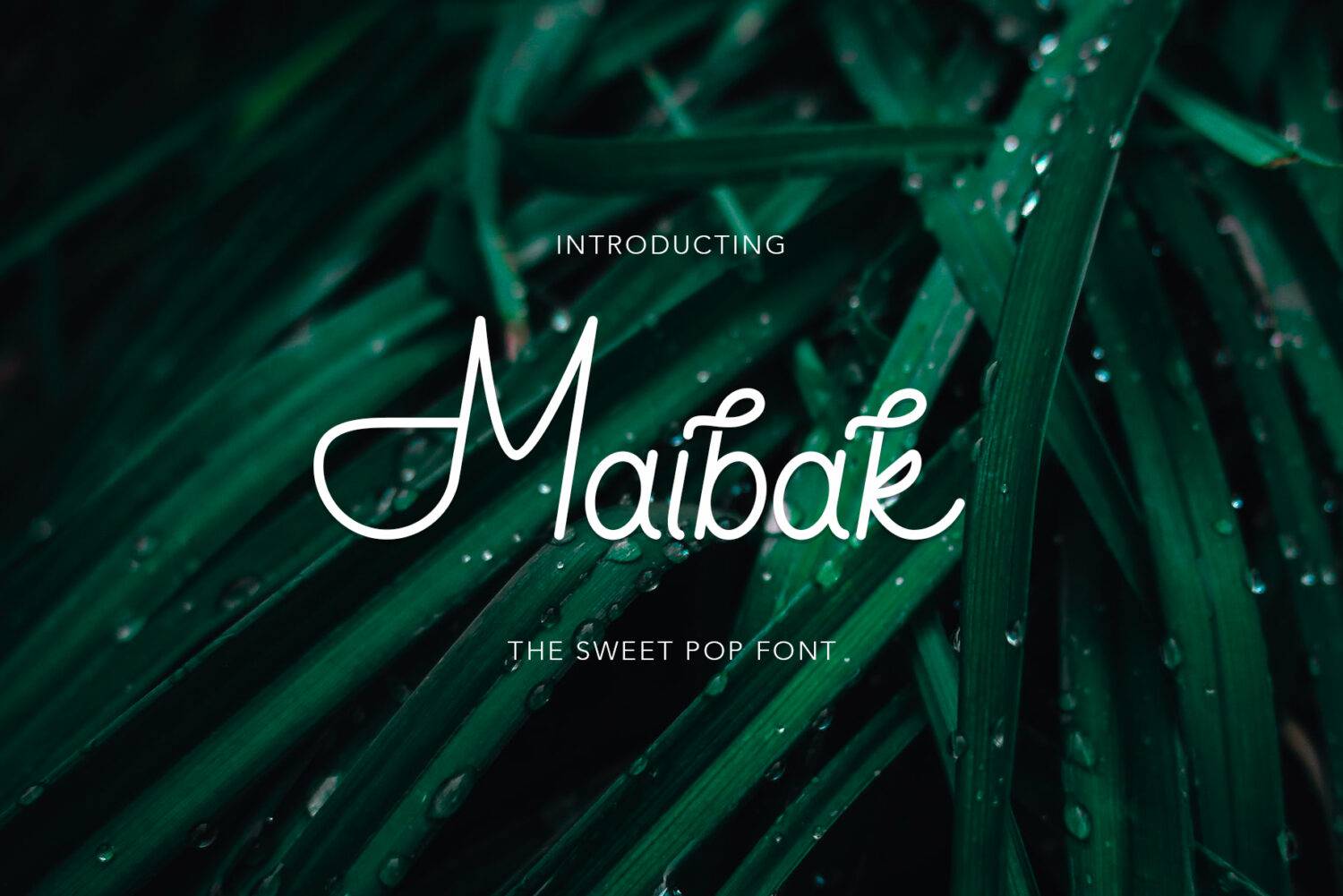 Maibak Font sample