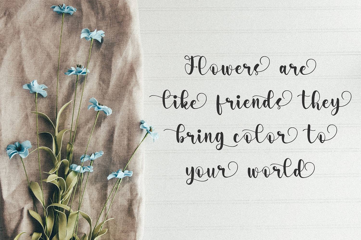 Marjolein Font sample