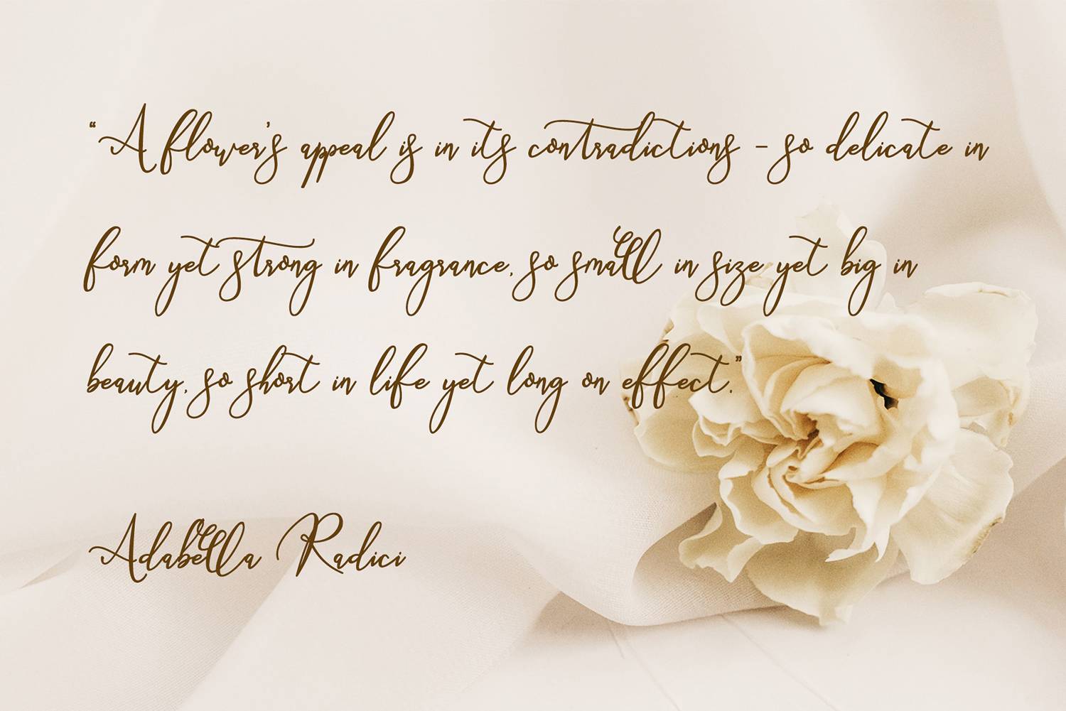 Marthissa Font sample