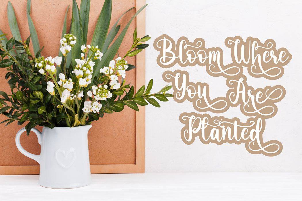 Matilda Calrysta Font sample
