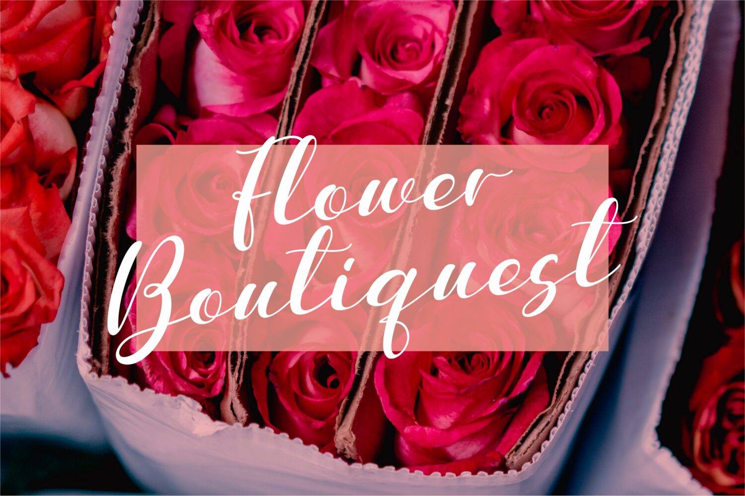 Meuthia Beauty Font sample