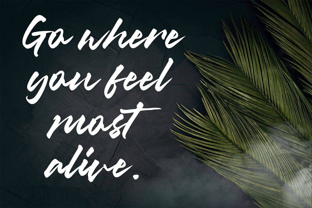 Misty Black Font sample