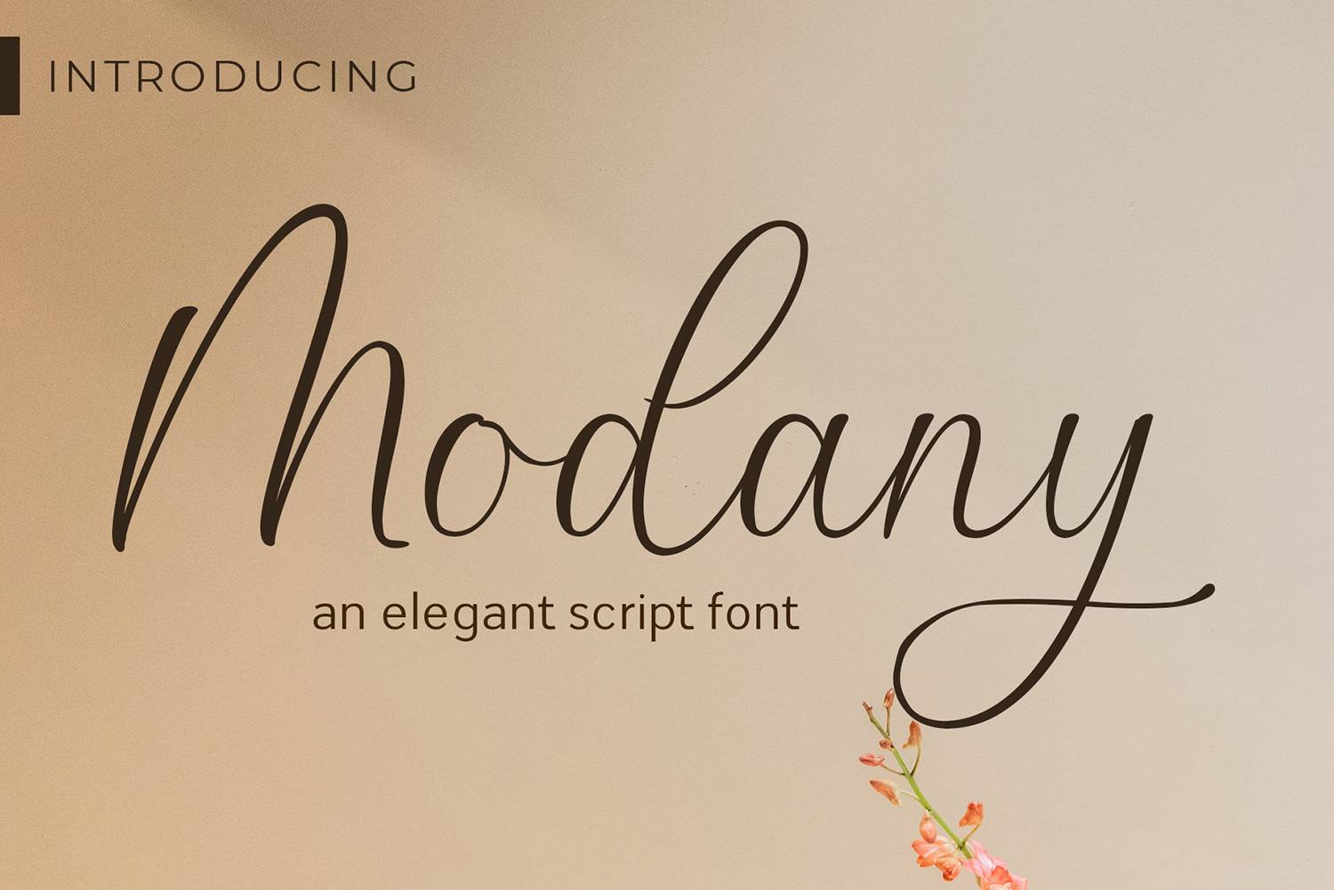 Modany Font sample