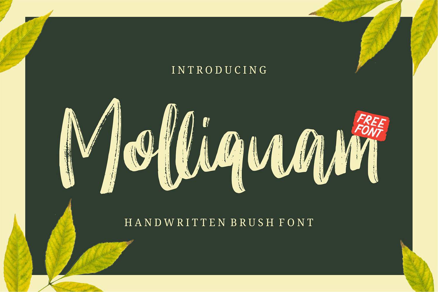 Molliquam Font sample