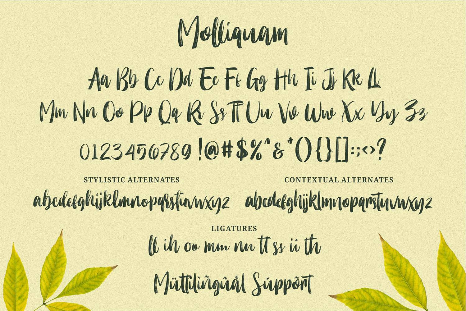Molliquam Font sample