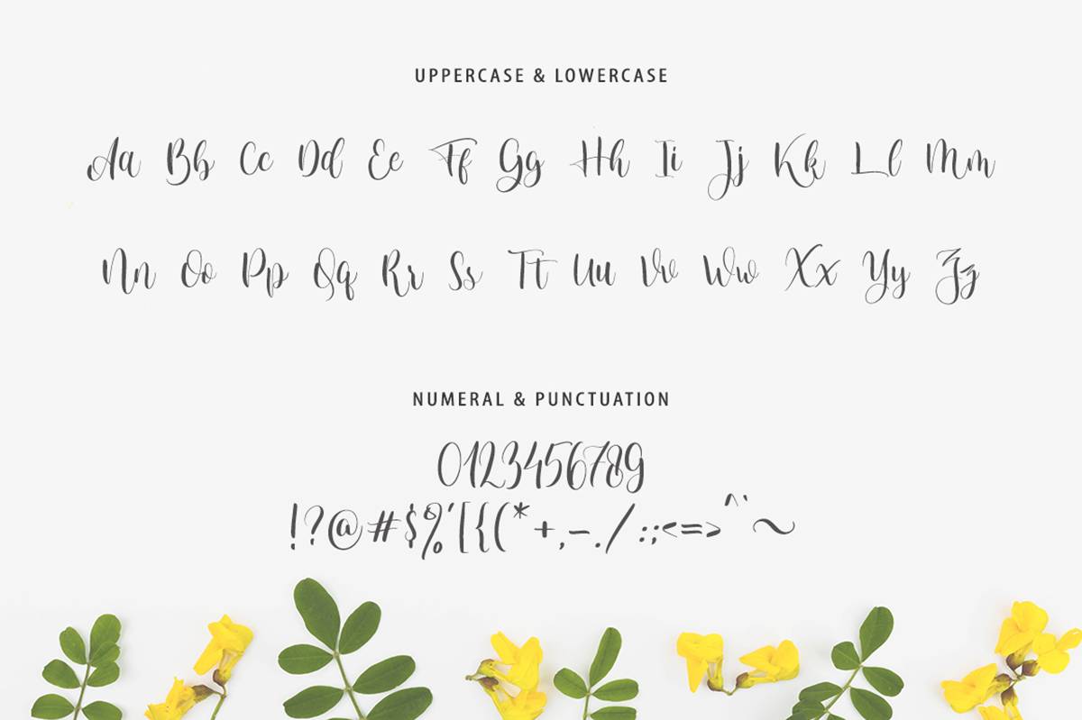 Monica Font sample
