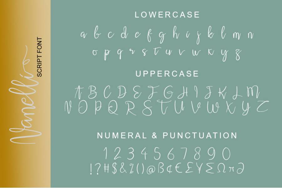 Nanelli Modern Script Demo sample