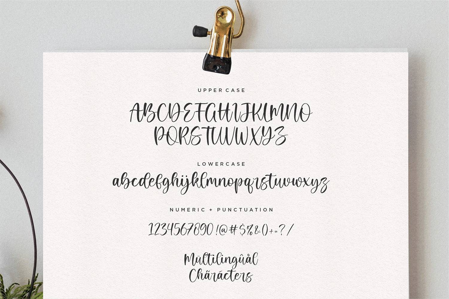 Nathaly Font sample
