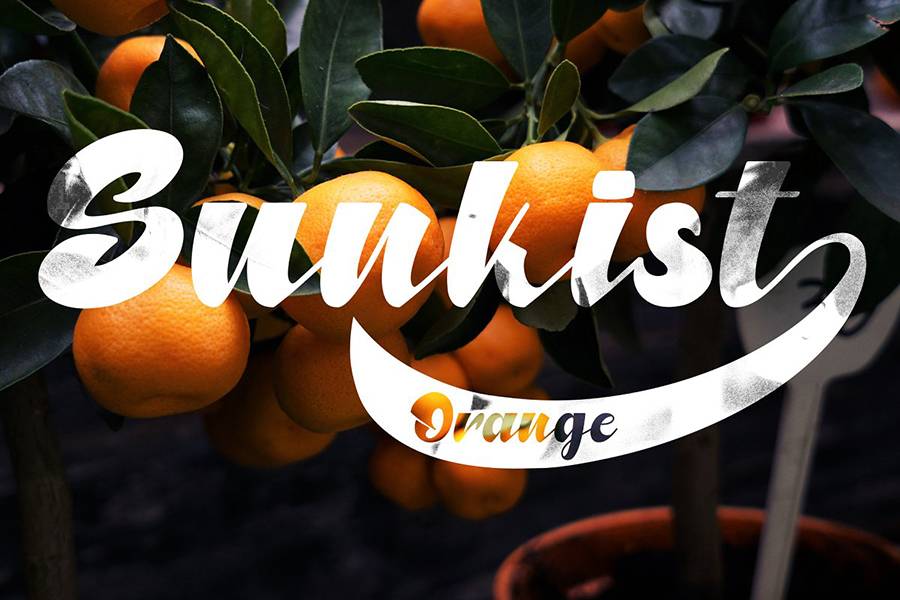North Blue Bold Script Font sample