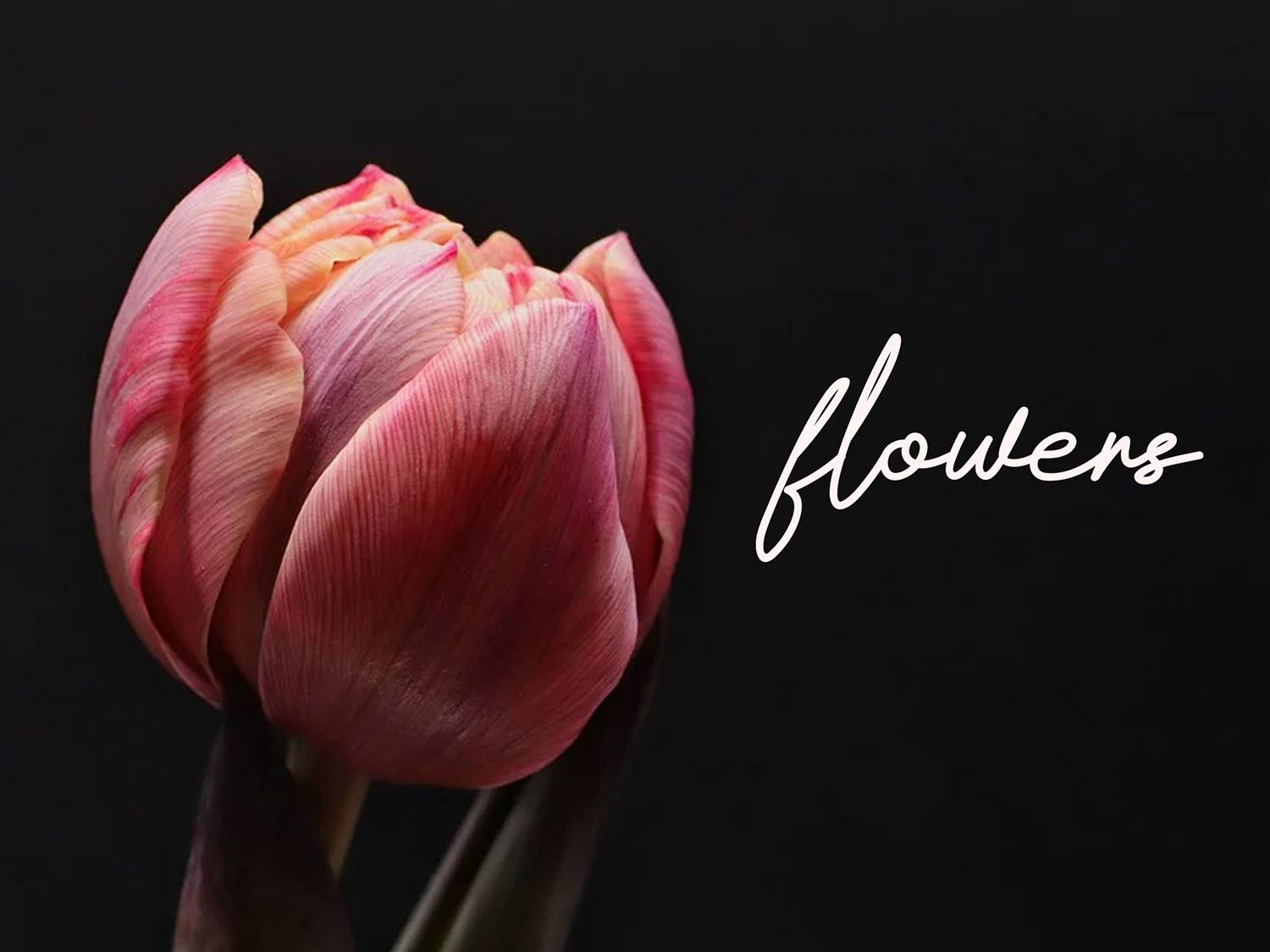 Ontime Font sample